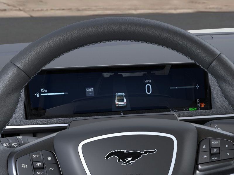 2025 Ford Mustang Mach-E GT - Photo 14