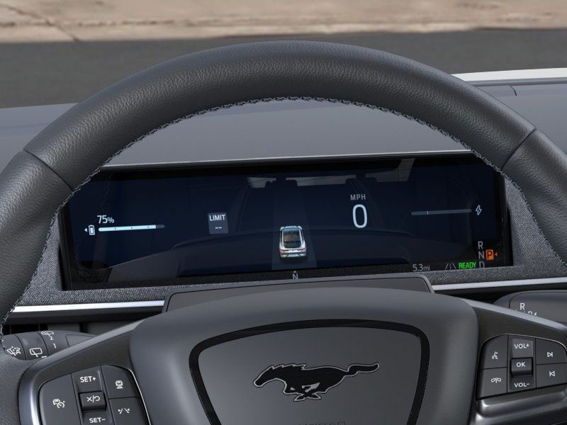 2025 Ford Mustang Mach-E GT - Photo 14