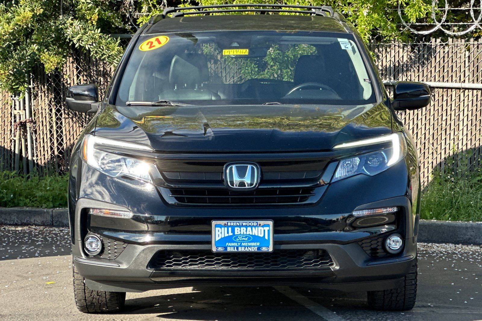 2021 Honda Pilot Special Edition photo 4