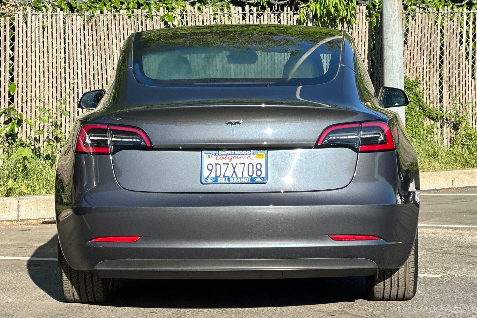 2023 Tesla Model 3 Base photo 6