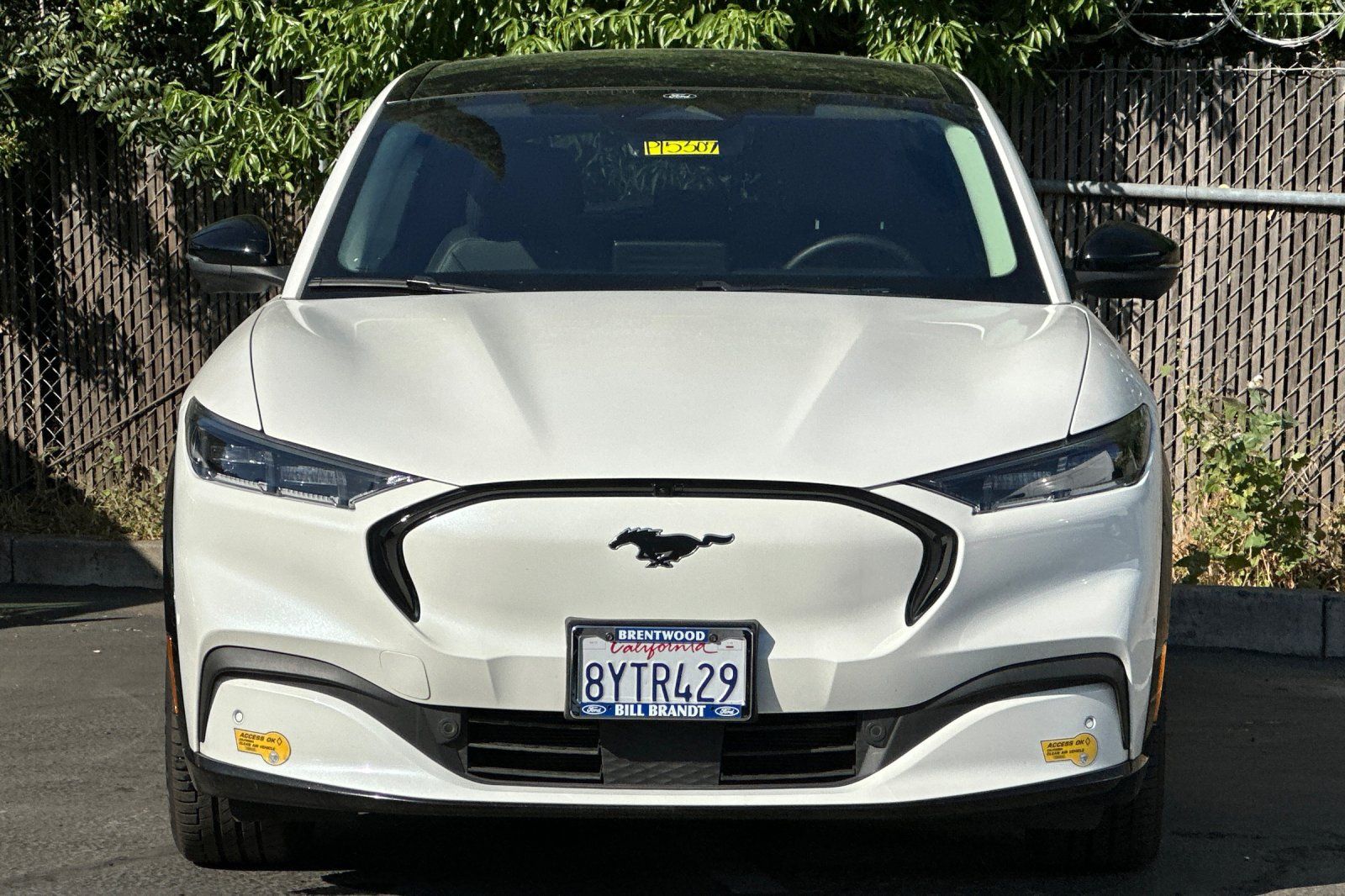 2021 Ford Mustang Mach-E Premium photo 4