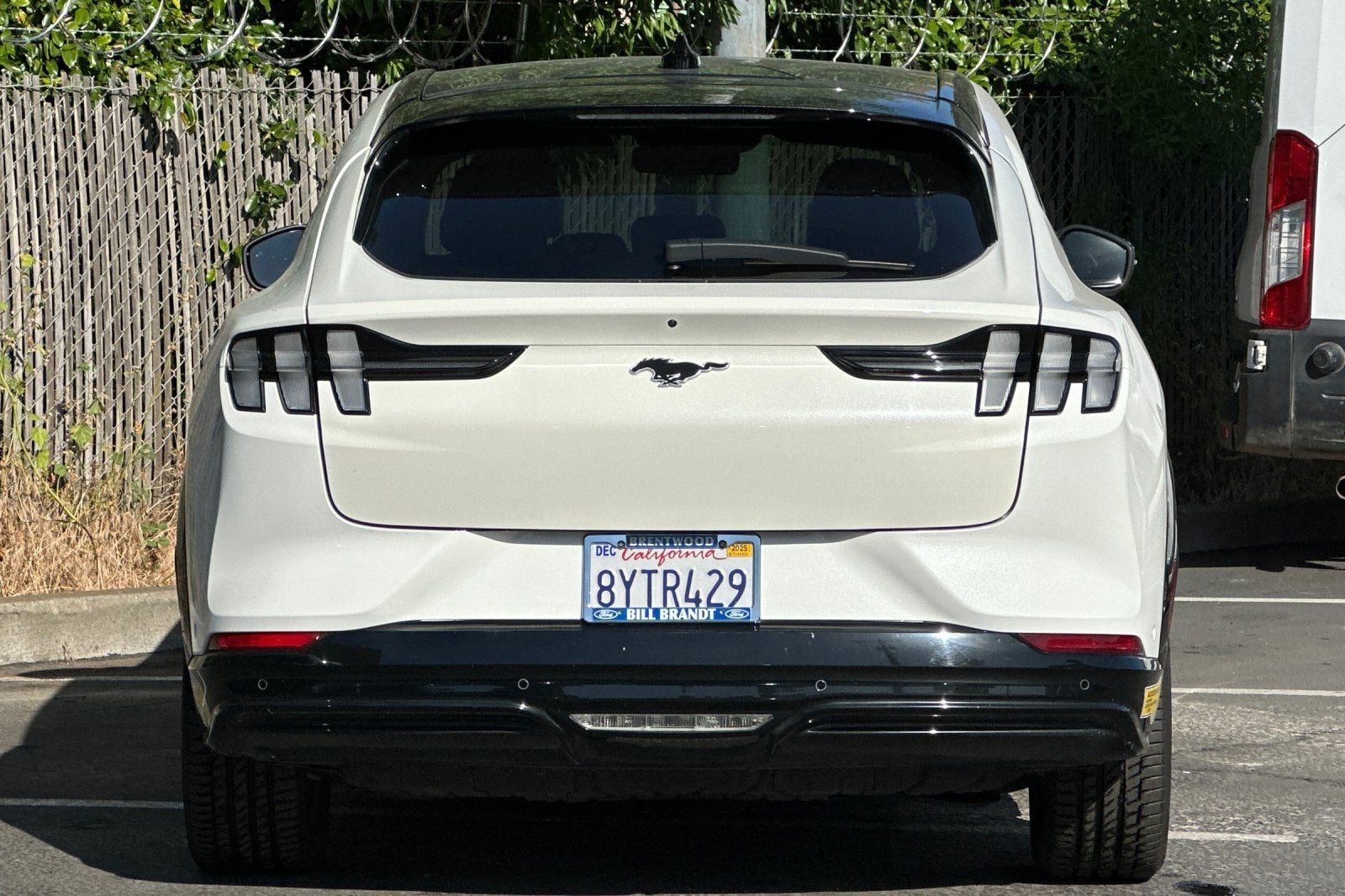 2021 Ford Mustang Mach-E Premium photo 6