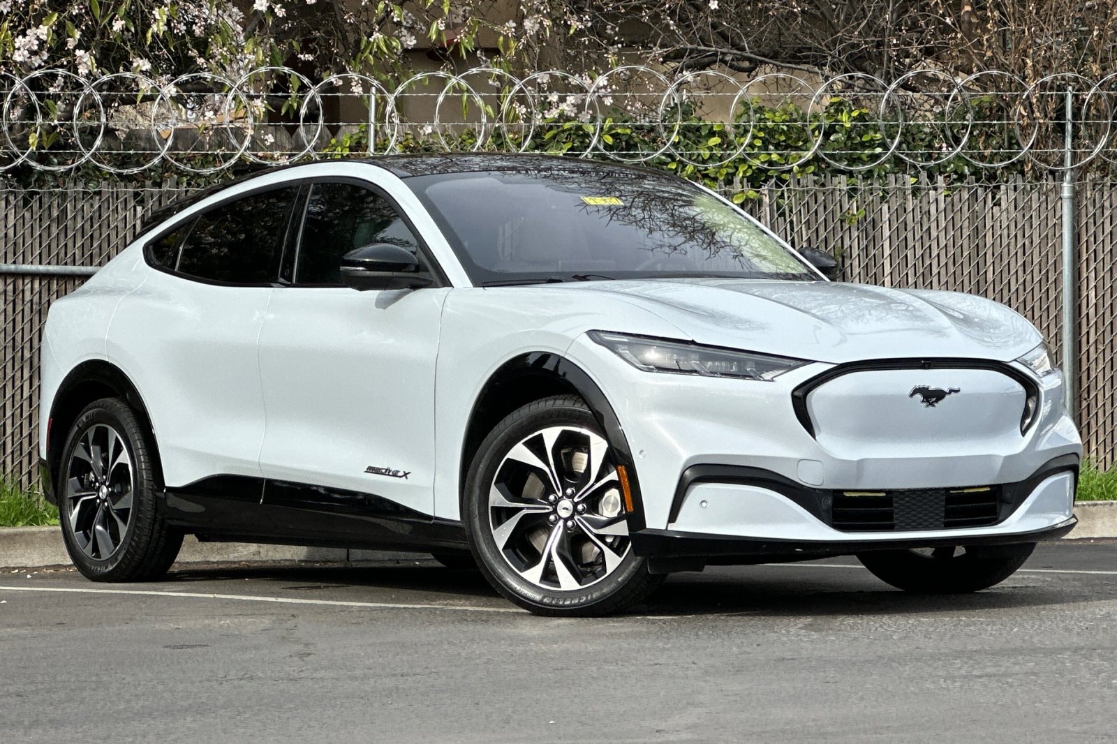 Used 2023 Ford Mustang Mach-E Premium RWD with VIN 3FMTK3R70PMA64535 for sale in Brentwood, CA