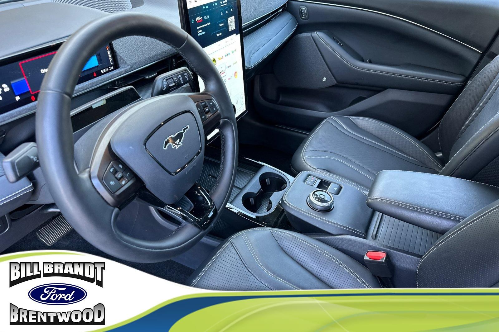 2021 Ford Mustang Mach-E Premium photo 2