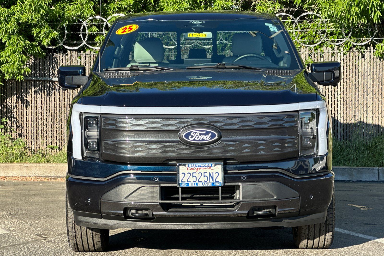 2025 Ford F-150 Lightning Platinum photo 4