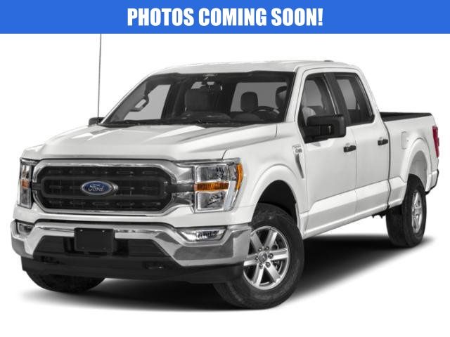 2023 Ford F-150 XLT's photo