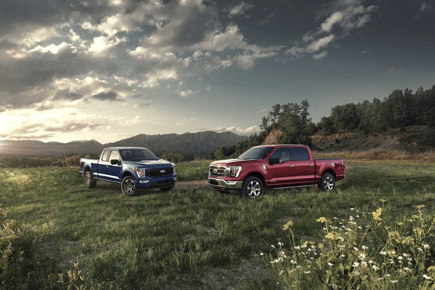 Vehicle Reviews