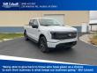 Ford F-150 Lightning