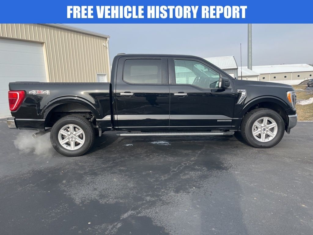 Used 2023 Ford F-150 XLT Truck