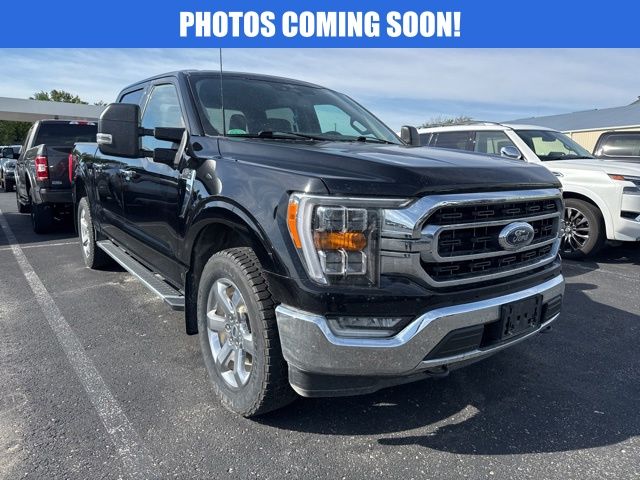 2023 Ford F-150 XLT 4x4 SuperCrew 5-1/2 Box's photo