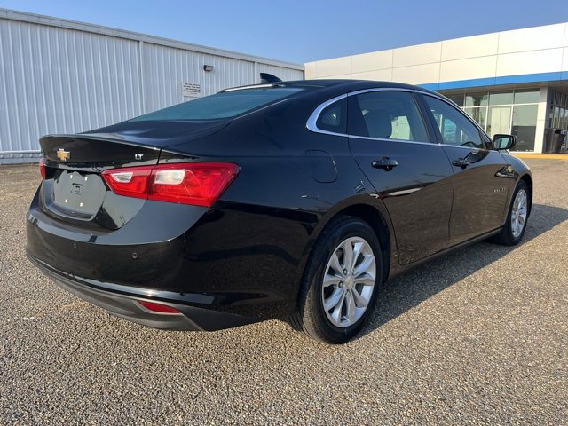 2024 Chevrolet Malibu 1LT photo 4