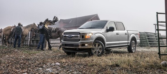 Ford F-150 vs Ram 1500 in Washington, IN: Bill Dobson Ford