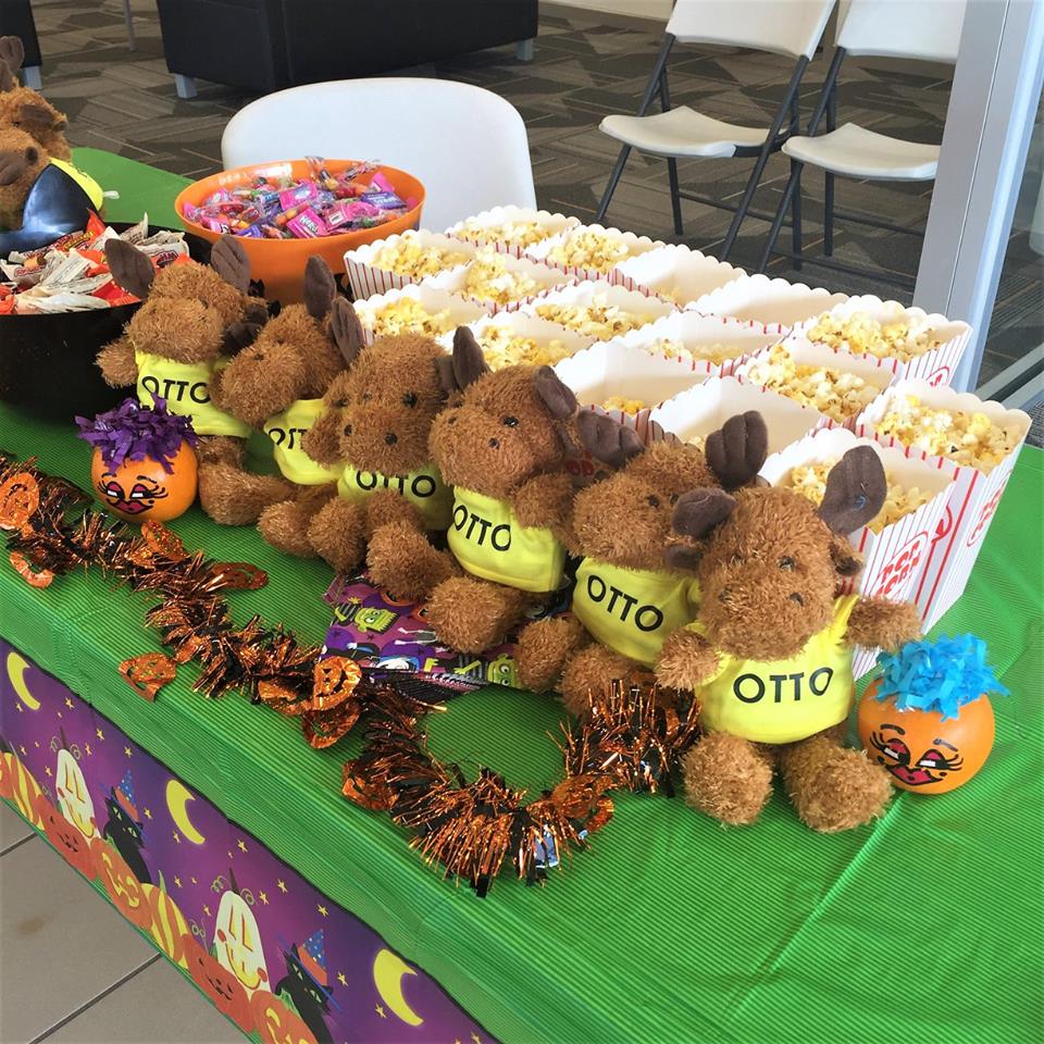 Fall Festival 2018 3