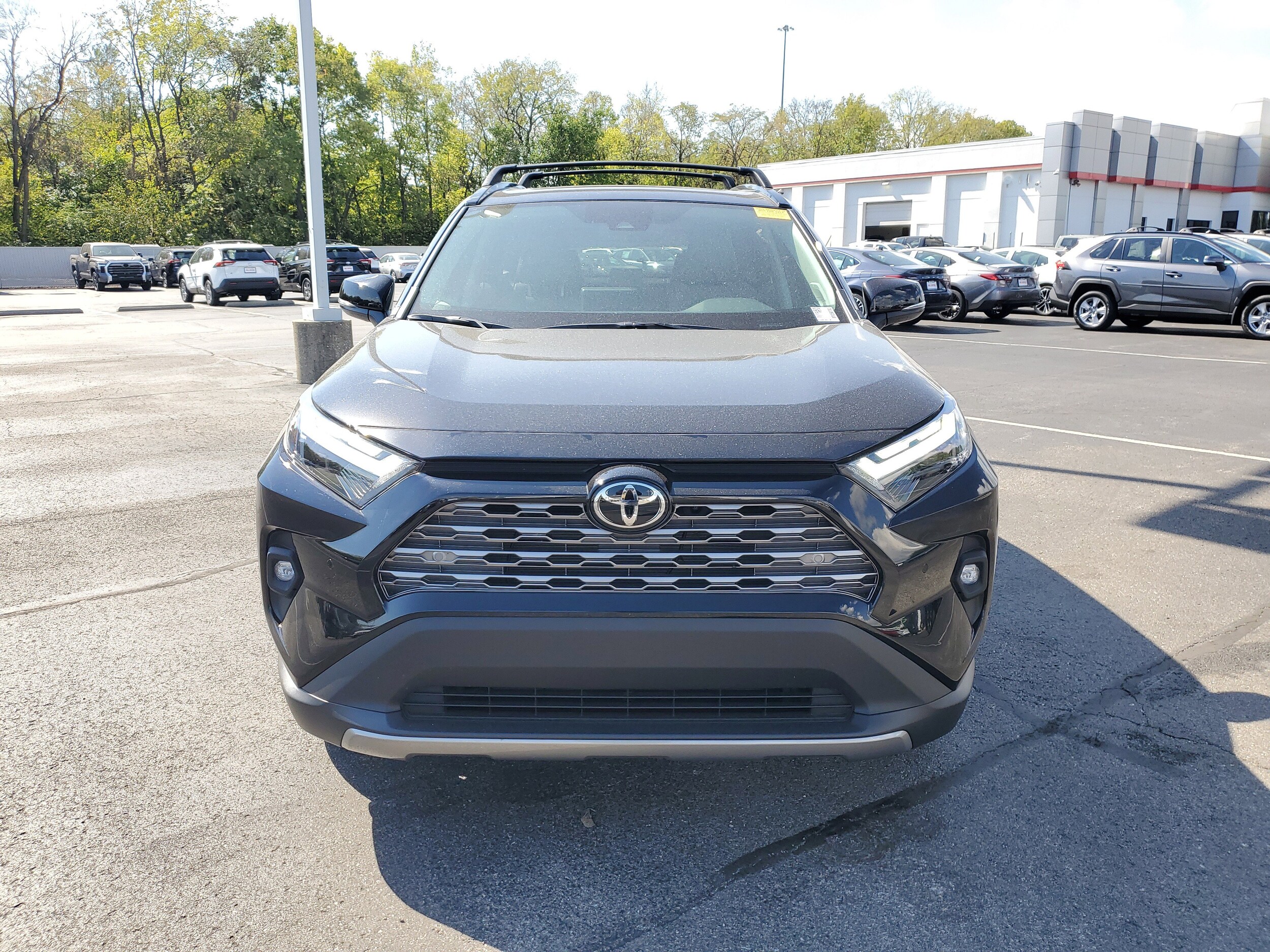 2025 Toyota RAV4 Limited photo 3