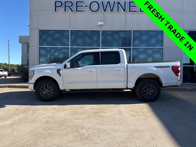 2023 Ford F-150 Tremor's photo