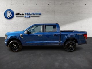 2025 Ford F-150 STX Truck