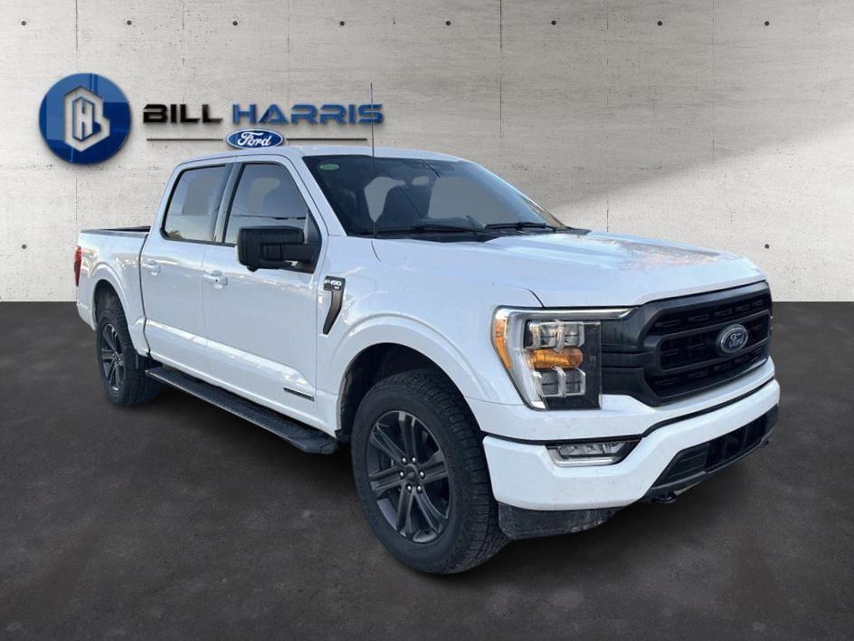 2023 Ford F-150 XLT photo 3