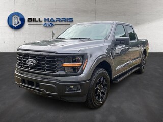 2025 Ford F-150 STX Truck