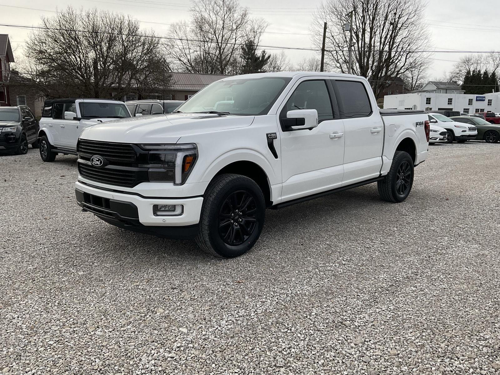 2025 Ford F-150 Platinum's photo