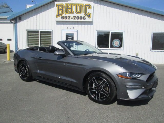2023 Ford Mustang's photo
