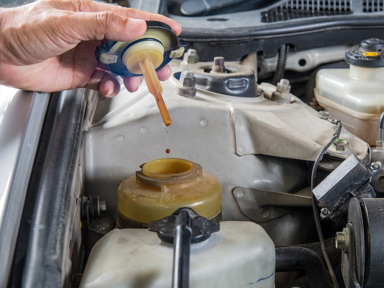 Fluid Service