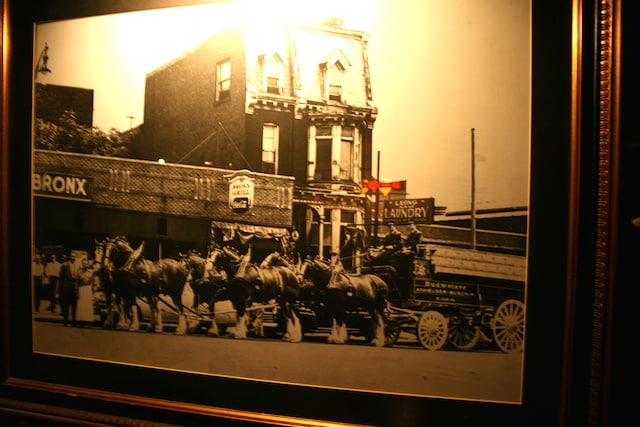 Bronx photo.JPG