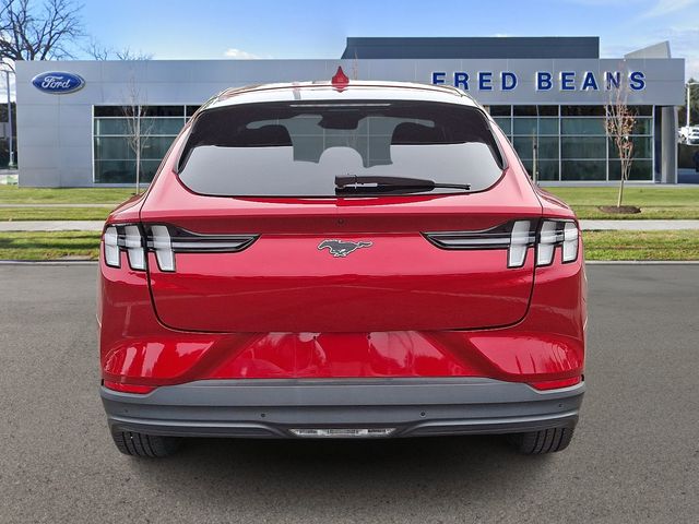 2021 Ford Mustang Mach-E Select photo 4
