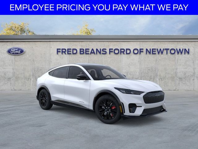 2025 Ford Mustang-Mach-e Premium's photo