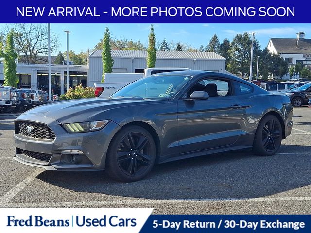 2016 Ford Mustang EcoBoost photo 3