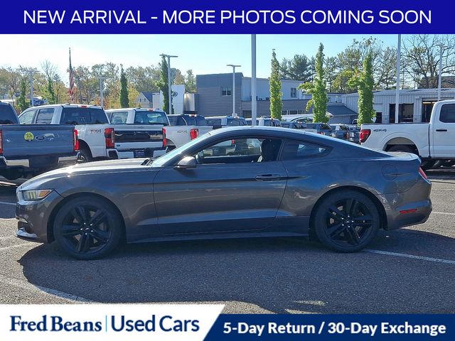 2016 Ford Mustang EcoBoost photo 4