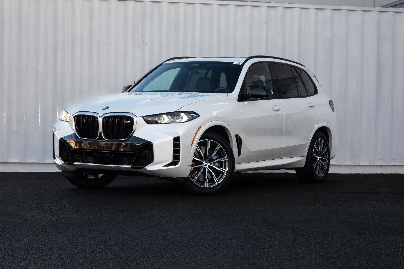 2025 BMW X5 M60i's photo