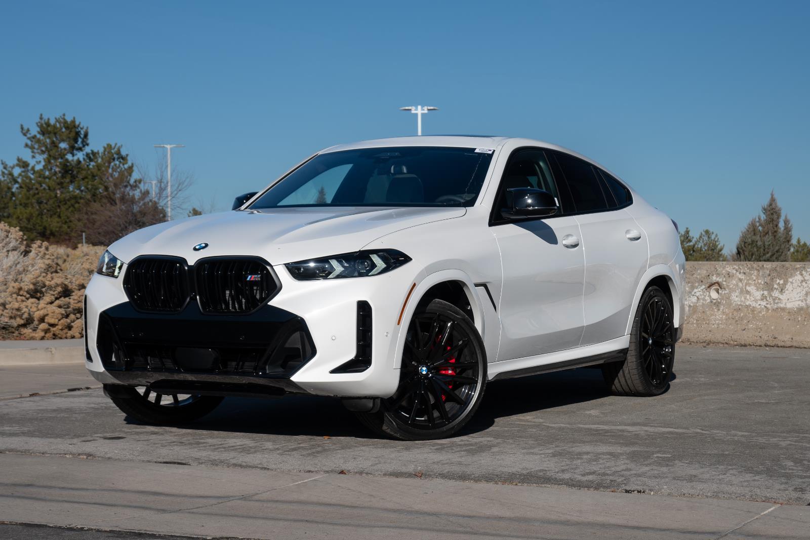 2026 BMW X6 M60i's photo