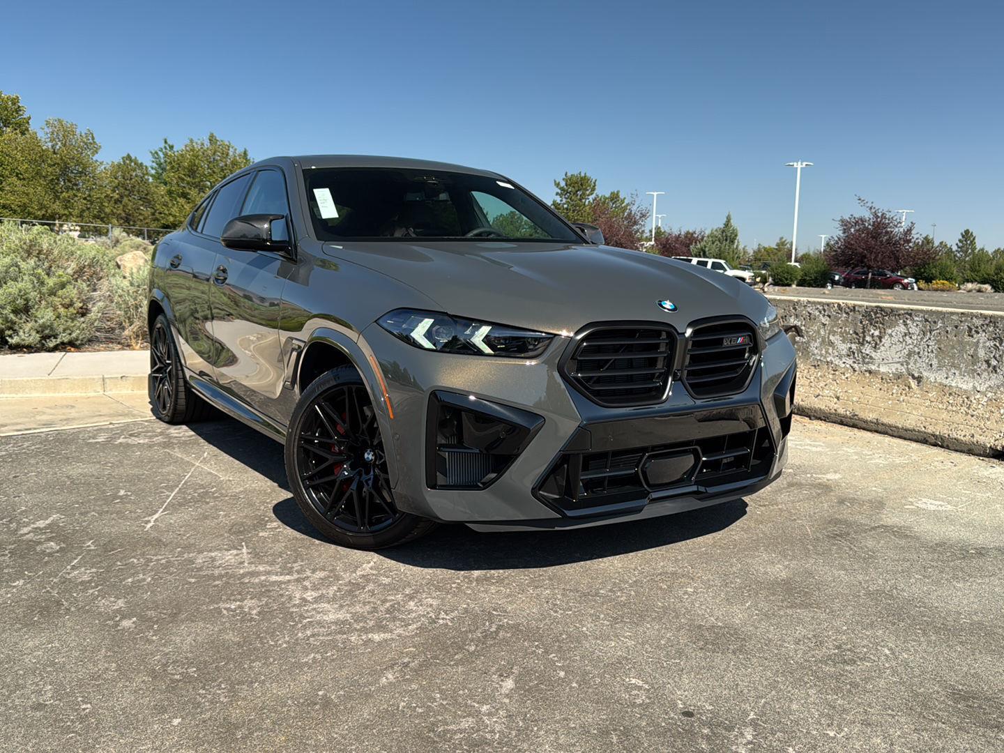  BMW X6 M