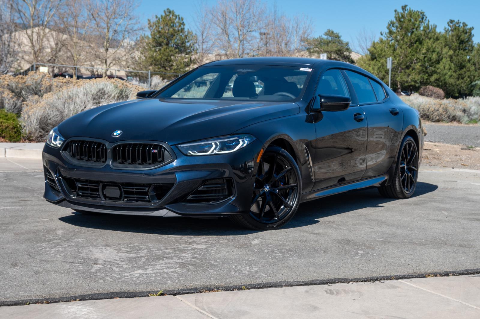 2026 BMW 8 Series M850i xDrive Gran Coupe's photo