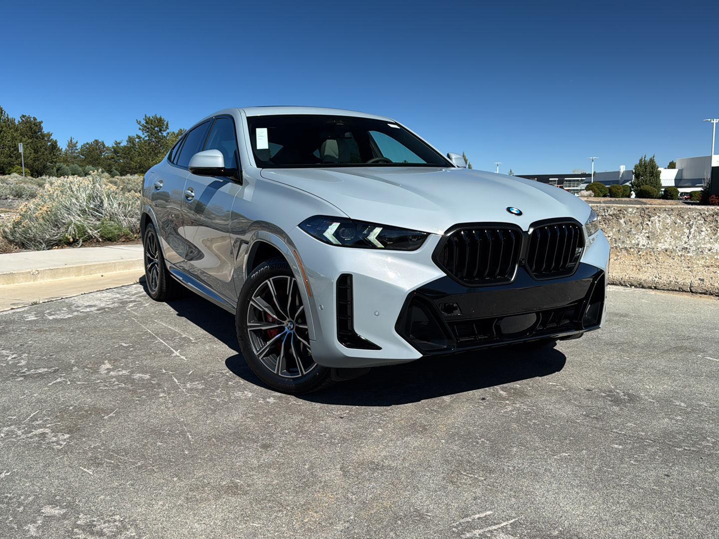 2026 BMW X6 xDrive40i's photo