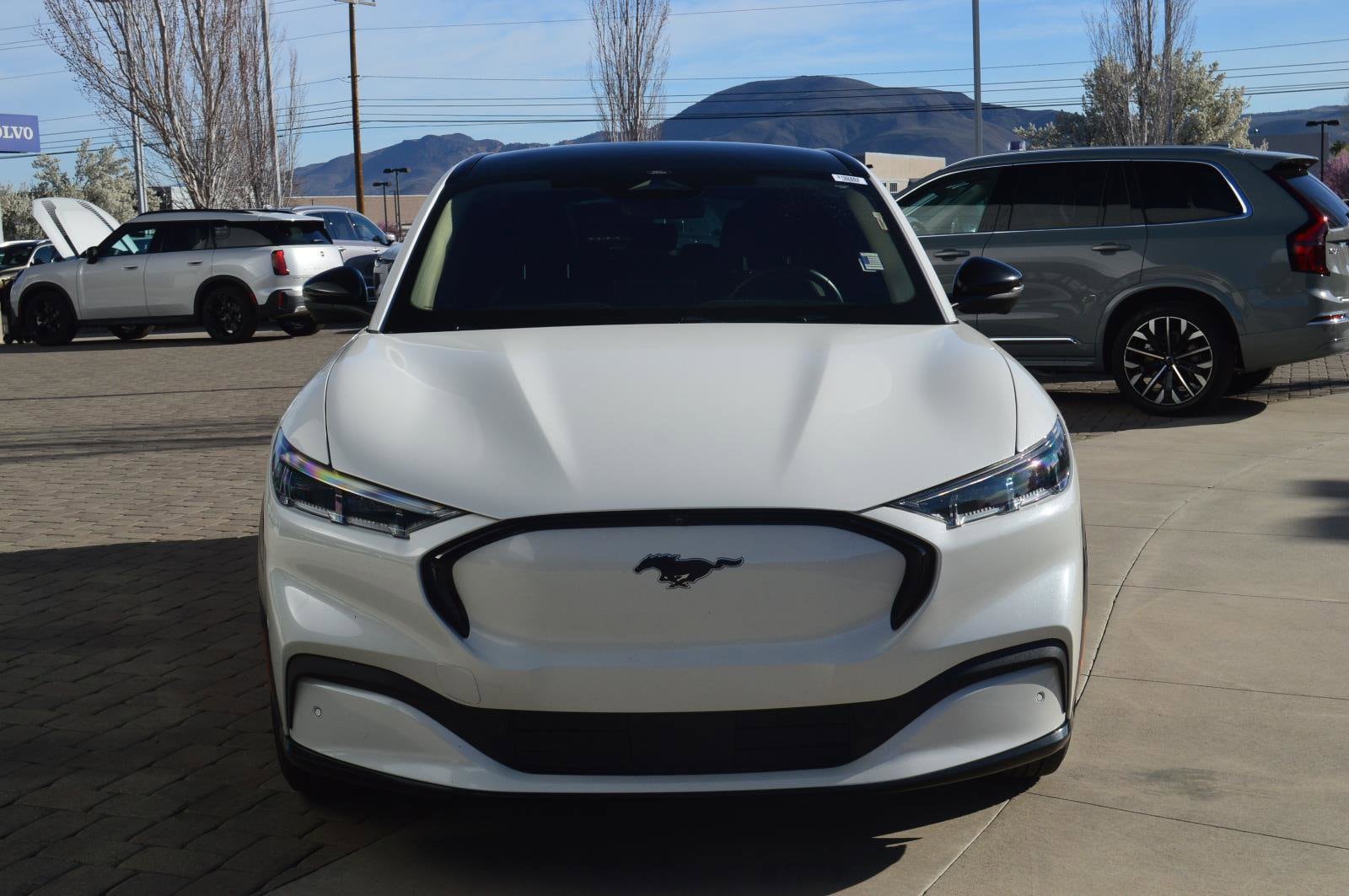 Used 2021 Ford Mustang Mach-E Premium AWD with VIN 3FMTK3SU8MMA27485 for sale in Reno, NV