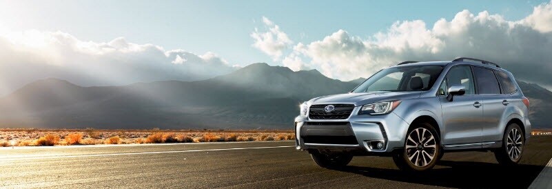 Subaru Forester Cargo Space >> Subaru Forester Cargo Space Ny Bill Rapp Subaru Subaru Forester Cargo Space >> Subaru Forester Cargo Space Ny Bill Rapp Subaru