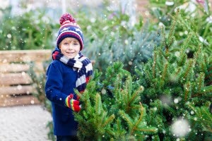 Family Christmas Tree Farm