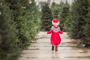 Christmas Tree Farm