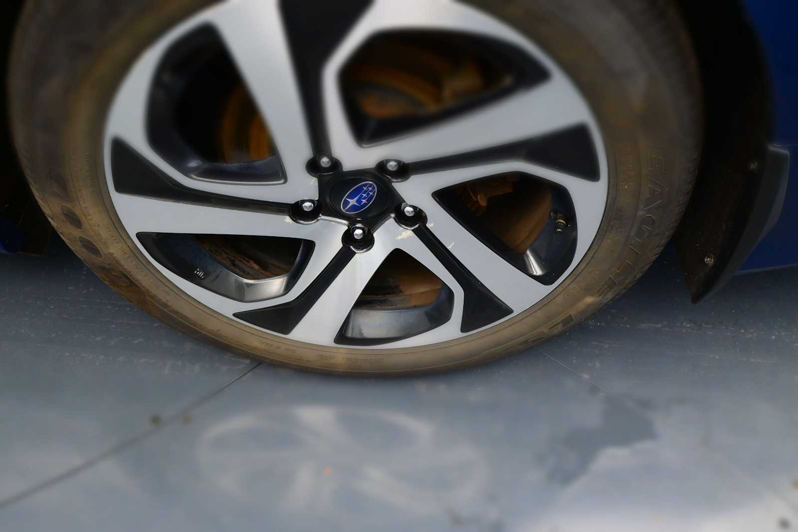 Photo 5