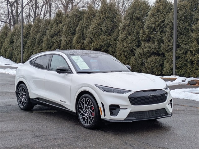 2023 Ford Mustang Mach-E GT AWD's photo