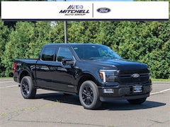 New 2025 Ford F-150 Platinum TRUCK for Sale in Simsbury, CT