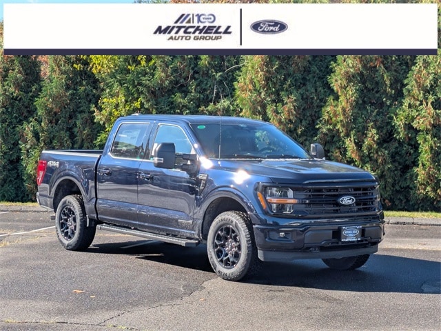 2025 Ford F-150 XLT's photo