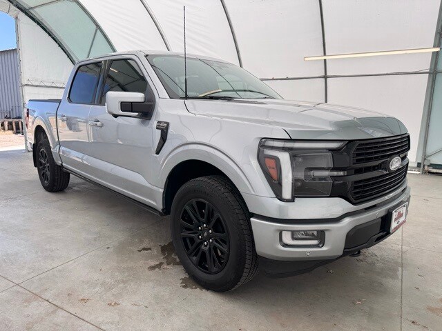 2024 Ford F-150 Platinum photo 3