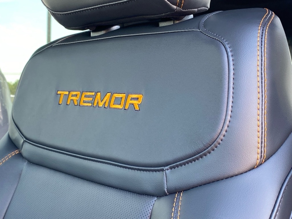 2025 Ford Expedition Tremor - Photo 9