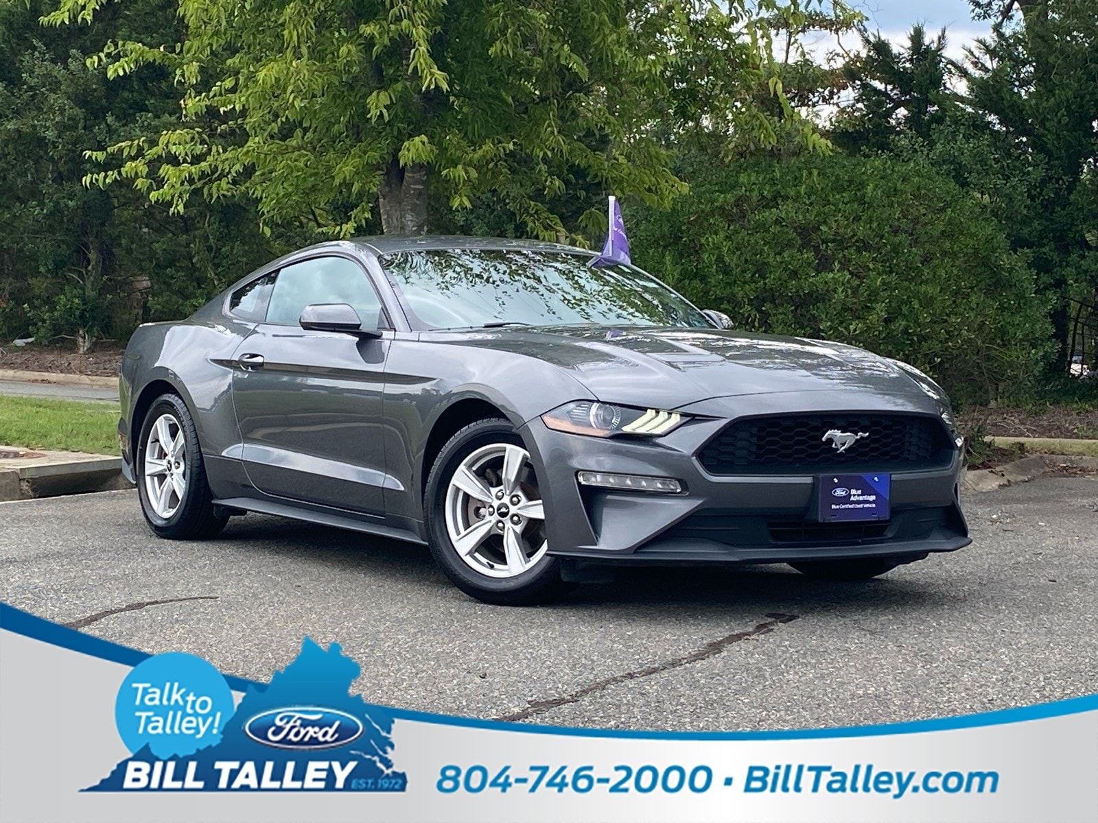 2022 Ford Mustang EcoBoost