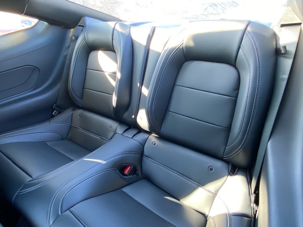 2026 Ford Mustang EcoBoost Premium Fastback - Photo 13