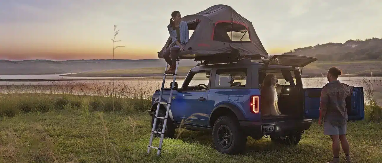 Meet Your Next Adventure Companion