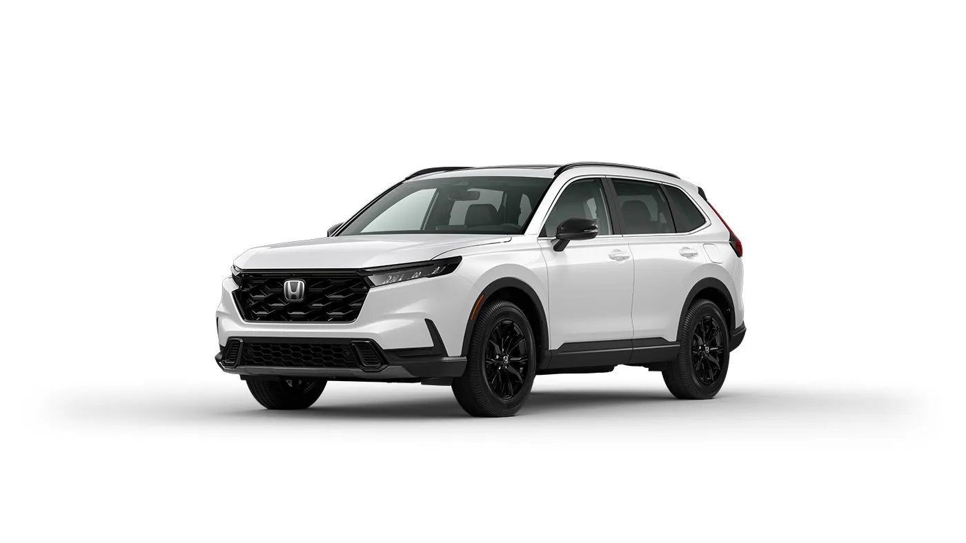 Sport-L Hybrid