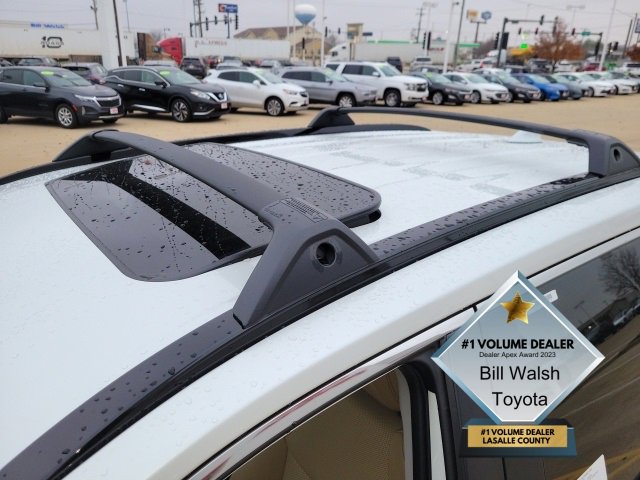 2025 Toyota RAV4 Limited photo 3